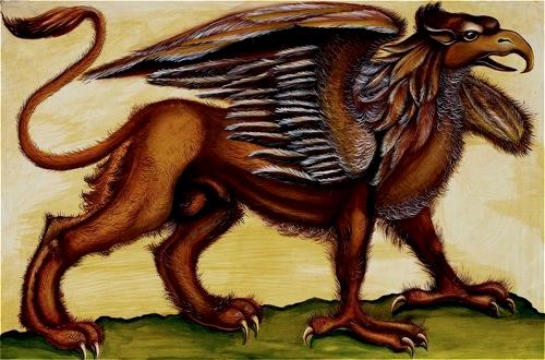 Anatomy of a Gryphon