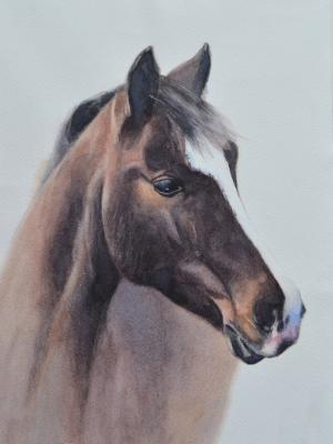 MACIEK, 25cm x 35cm, 2017 MACIEK, 25cm x 35cm, 2017