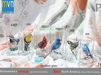 Set of Handpainted glasses: BIRDS OF NORTH AMERICA