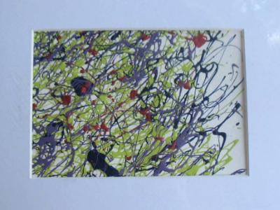 mini 8x10 matted mini 8x10 matted