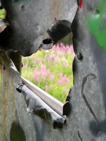 Door to the Secret Garden