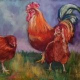 Spring Chickens