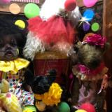 Show display