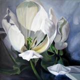 Tulip Kiss