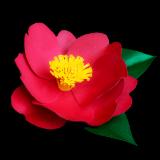 Red Camellia Sasanqua Hair Clip