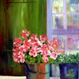 Geraniums