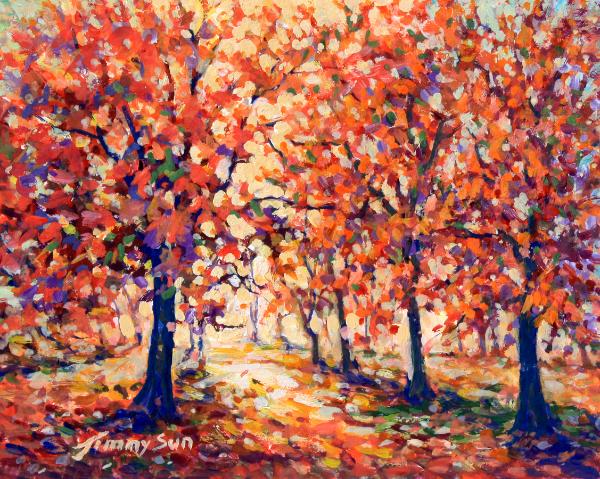 A Symphony of Hues