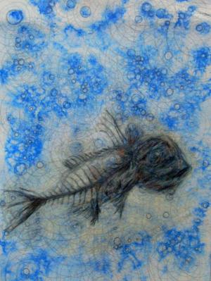 Fish Fossil Fish Fossil