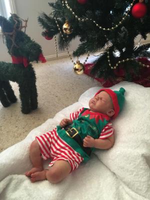 Christmas 2016 Show entry: Joshua (T.M)