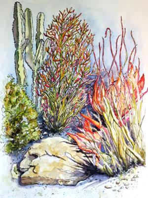 Succulent Garden Succulent Garden