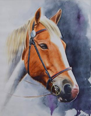 The beauty of the American Quarter Horse, 42cm x 33cm, 2018 The beauty of the American Quarter Horse, 42cm x 33cm, 2018