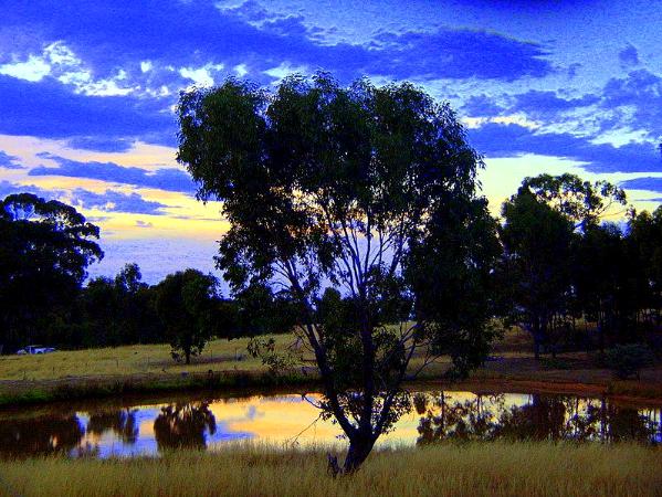 Tranquil Water  