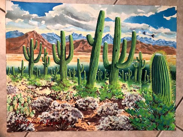 Desert with Saguaros and Moutains