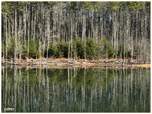 Mountain Lake