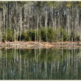 Mountain Lake