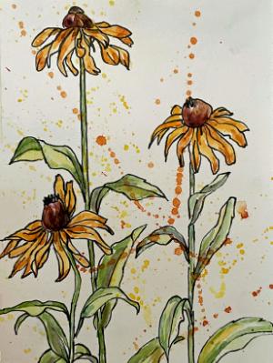 Blackeyed Susan Blackeyed Susan