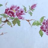 Spring Peonies  20x28 