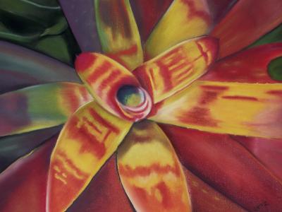 "Bromeliad Gold & Red"
