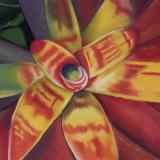 "Bromeliad Gold & Red"