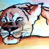 Snoring Lioness