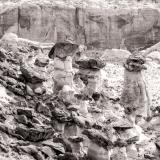 Rimrock Toadstools Black and White