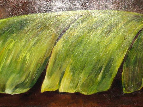 Banana Leaf