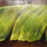 Banana Leaf