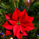 Red Poinsettia Flower Hanging Ornament