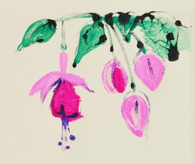 Fuscia I Fuscia I