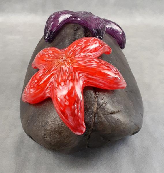  #08302401 Starfish on rock 4''HX10.25WX6.5''D $275.00