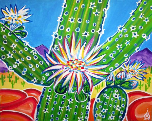 Bright Saguaro Blooms