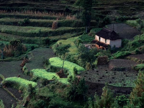 Nepalese farmhouse