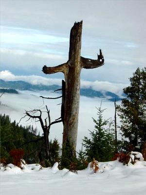 The Old Rugged Cross The Old Rugged Cross