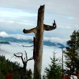 The Old Rugged Cross