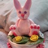 Beautiful Bunny