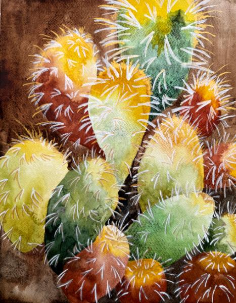 Backlit Cacti