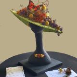 First Prize NGC 2022