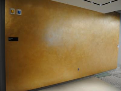 Celtics Office Feature Wall