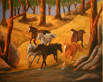 Wild Brumbies 