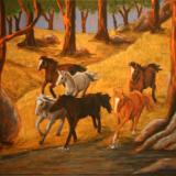 Wild Brumbies 