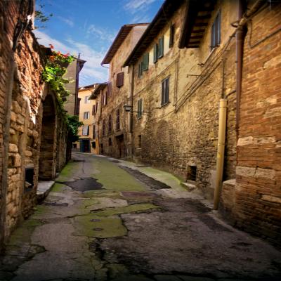 Mossy street Mossy street