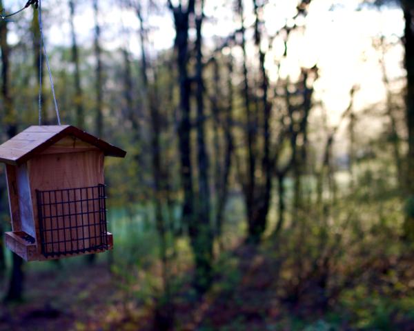 untitled (ttartisan f/1.4 50mm)