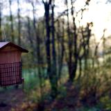 untitled (ttartisan f/1.4 50mm)