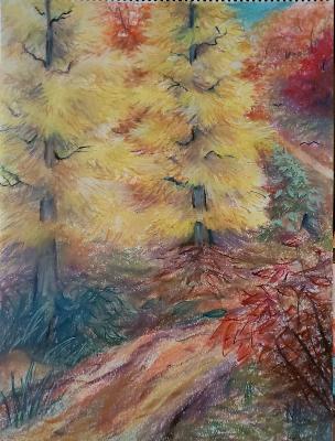 Autumn Walk
