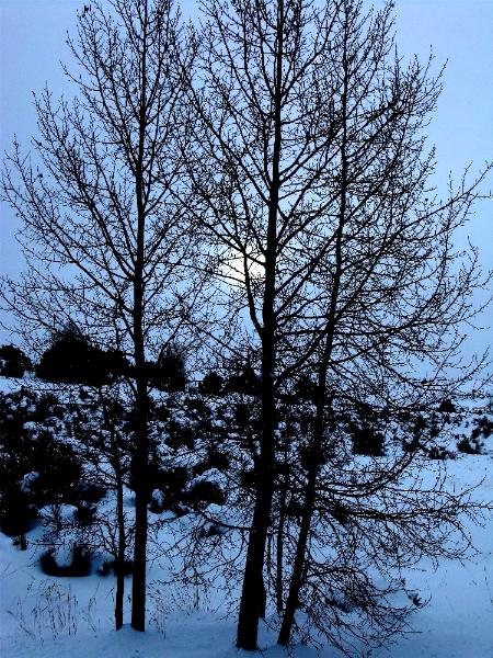Winter Outside The Studio