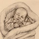 Newborn