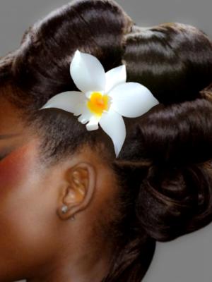 White Dendorbium Orchid Hair Clip