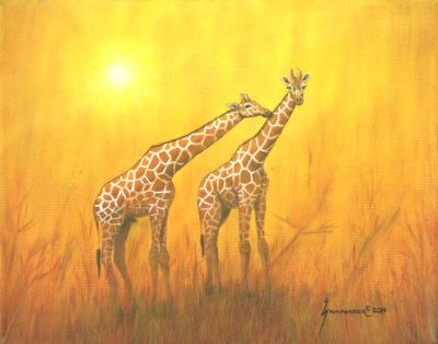 The Kiss: Giraffes