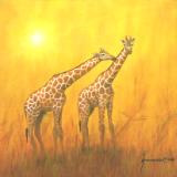 The Kiss: Giraffes