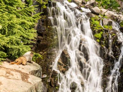 Marmot Falls Marmot Falls